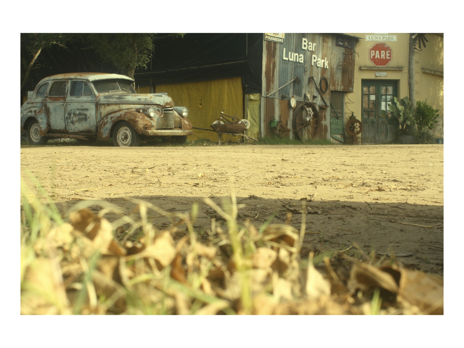 Card image cap
